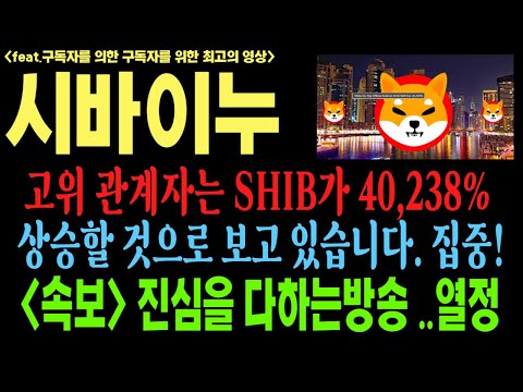 시바이누 시바이누코인 시바이누코인전망 shib doge 코인전망 비트코인 이더리움 도지코인