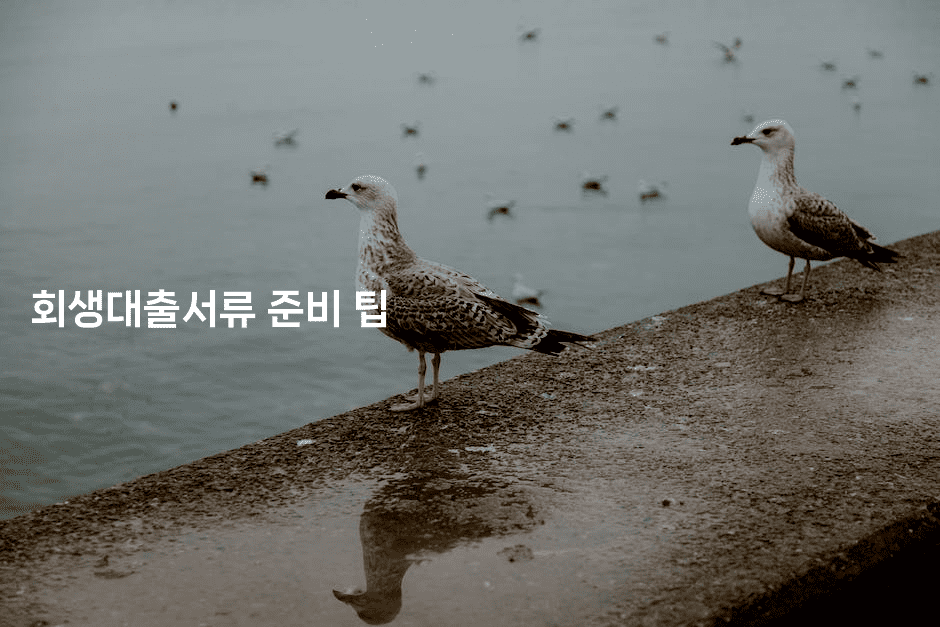 회생대출서류 준비 팁-머니미미