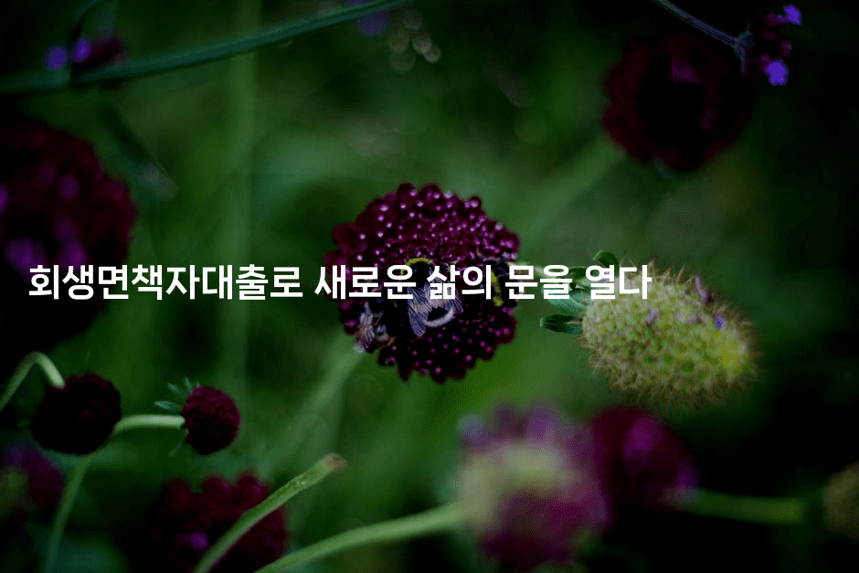 회생면책자대출로 새로운 삶의 문을 열다-머니미미