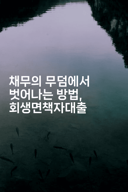 채무의 무덤에서 벗어나는 방법, 회생면책자대출-머니미미