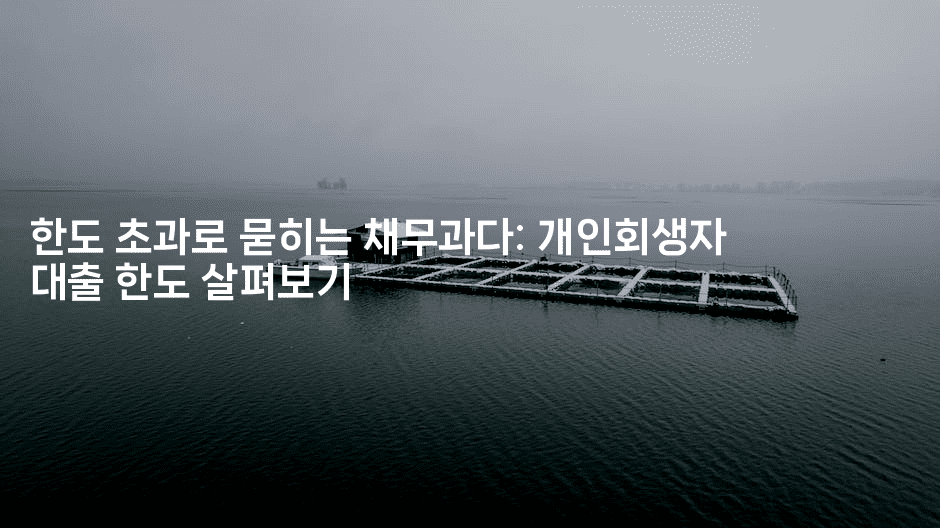 한도 초과로 묻히는 채무과다: 개인회생자 대출 한도 살펴보기-머니미미