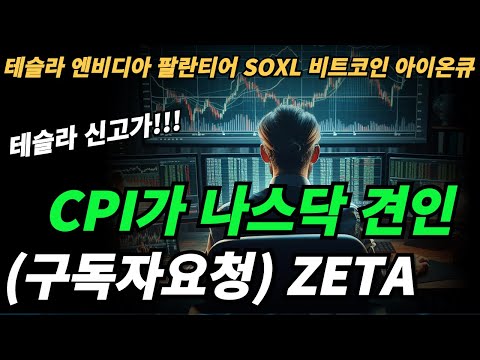 (시황분석) CPI가 나스닥을 상승으로 견인했다. 주도주는 테슬라