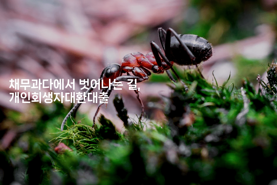 채무과다에서 벗어나는 길, 개인회생자대환대출-머니미미