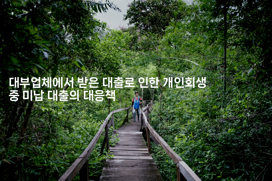 대부업체에서 받은 대출로 인한 개인회생 중 미납 대출의 대응책-머니미미