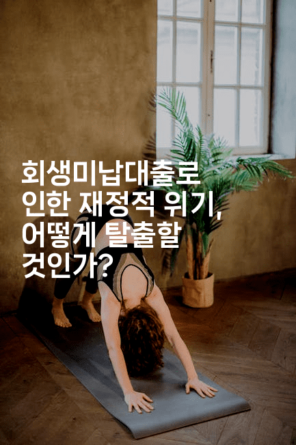 회생미납대출로 인한 재정적 위기, 어떻게 탈출할 것인가?-머니미미