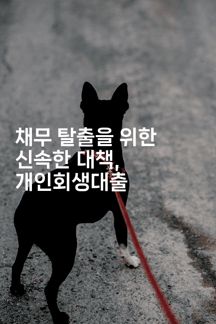 채무 탈출을 위한 신속한 대책, 개인회생대출-머니미미