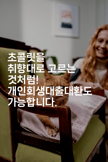 초콜릿을 취향대로 고르는 것처럼! 개인회생대출대환도 가능합니다.-머니미미